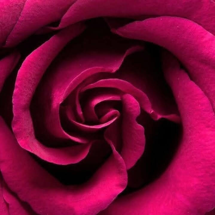 LE CREAZIONI DI SABRY I.